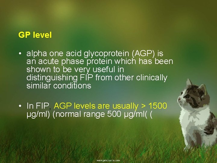 GP level • alpha one acid glycoprotein (AGP) is an acute phase protein which