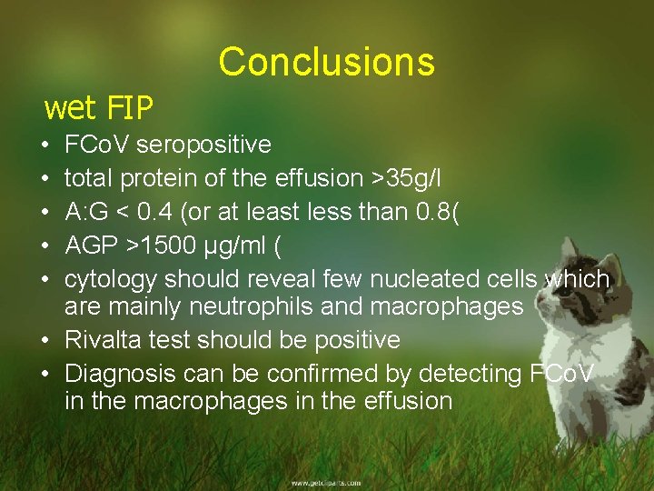 Conclusions wet FIP • • • FCo. V seropositive total protein of the effusion