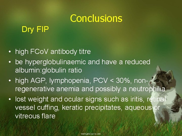 Conclusions Dry FIP • high FCo. V antibody titre • be hyperglobulinaemic and have