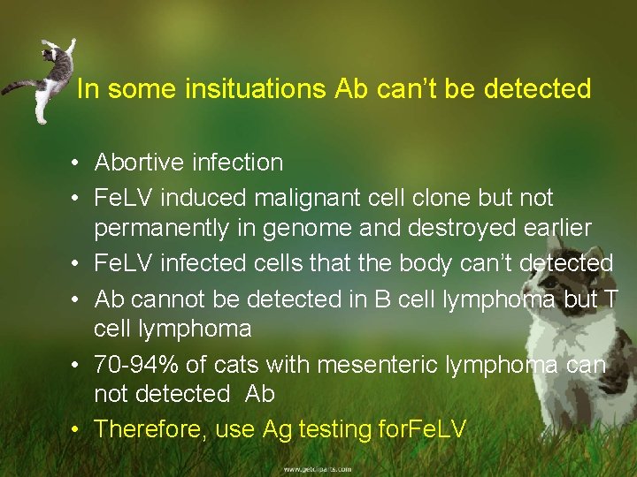 In some insituations Ab can’t be detected • Abortive infection • Fe. LV induced