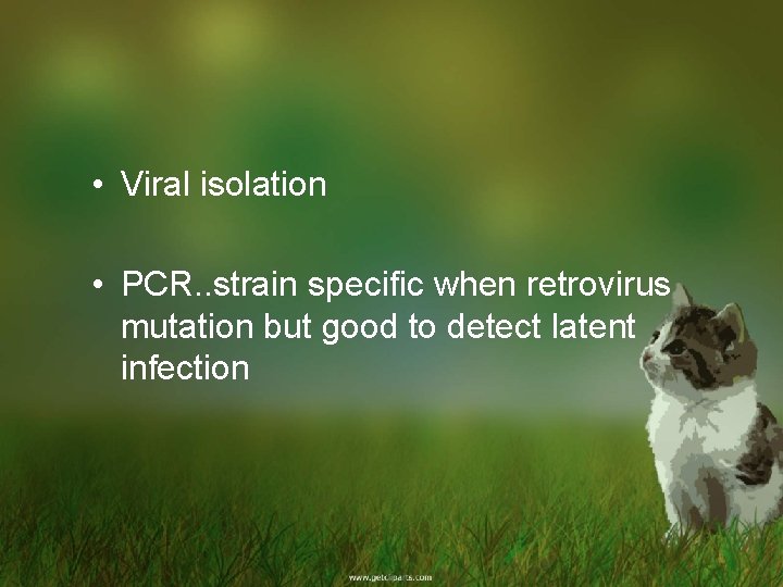  • Viral isolation • PCR. . strain specific when retrovirus mutation but good