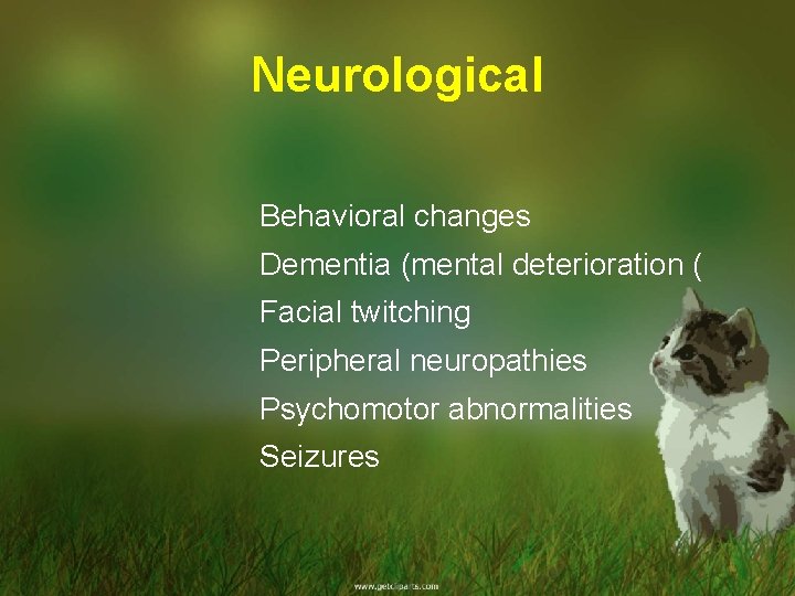 Neurological Behavioral changes Dementia (mental deterioration ( Facial twitching Peripheral neuropathies Psychomotor abnormalities Seizures