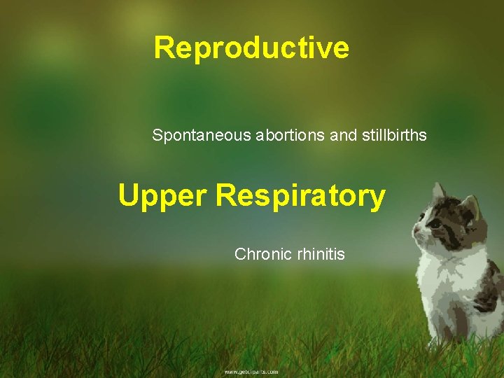 Reproductive Spontaneous abortions and stillbirths Upper Respiratory Chronic rhinitis 