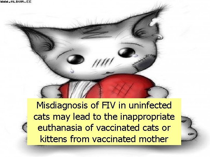 Misdiagnosis of FIV in uninfected cats may lead to the inappropriate euthanasia of vaccinated
