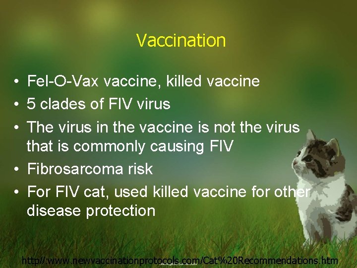 Vaccination • Fel-O-Vax vaccine, killed vaccine • 5 clades of FIV virus • The