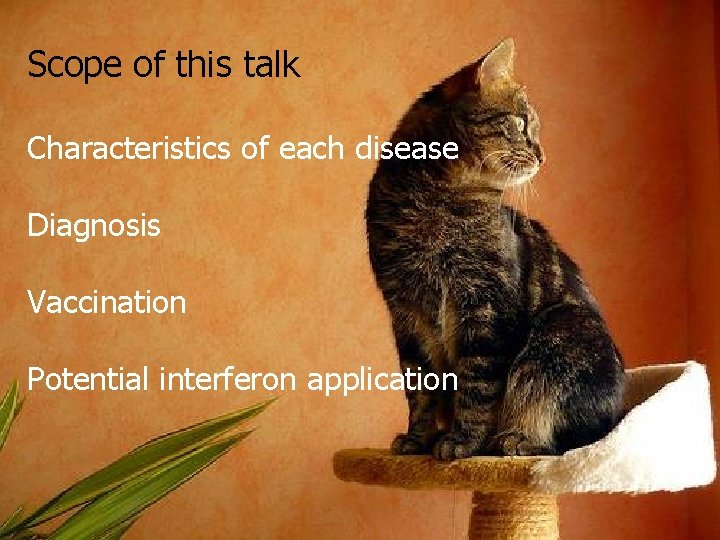 Scope of this talk Characteristics of each disease Diagnosis Vaccination Potential interferon application 