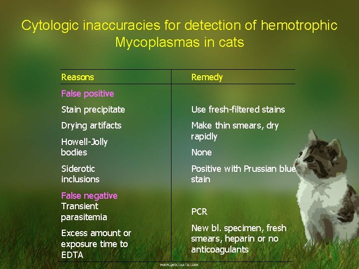 Cytologic inaccuracies for detection of hemotrophic Mycoplasmas in cats Reasons Remedy False positive Stain