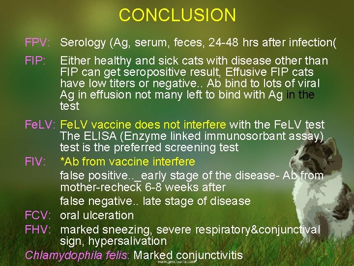 CONCLUSION FPV: Serology (Ag, serum, feces, 24 -48 hrs after infection( FIP: Either healthy