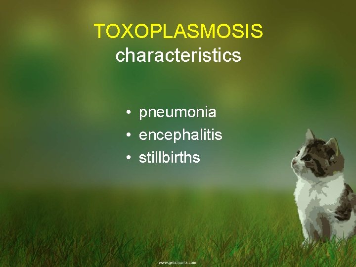 TOXOPLASMOSIS characteristics • pneumonia • encephalitis • stillbirths 