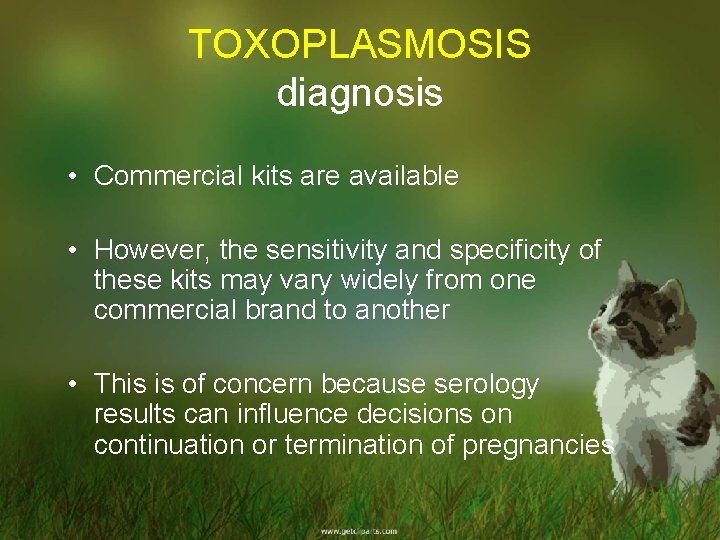 TOXOPLASMOSIS diagnosis • Commercial kits are available • However, the sensitivity and specificity of