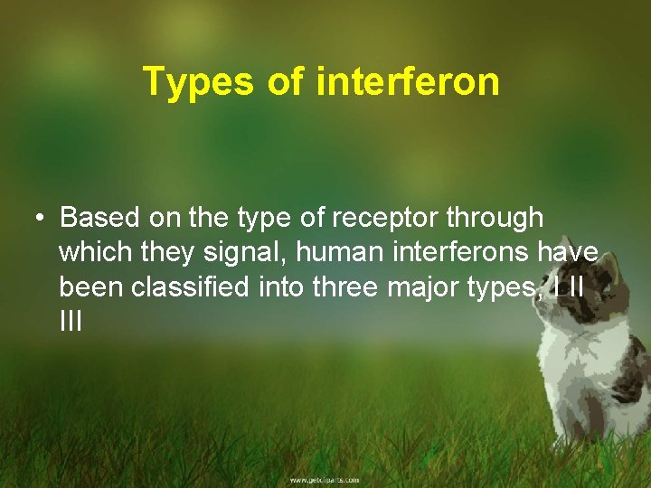 Types of interferon • Based on the type of receptor through which they signal,