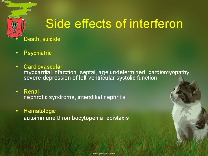 Side effects of interferon • Death, suicide • Psychiatric • Cardiovascular myocardial infarction, septal,