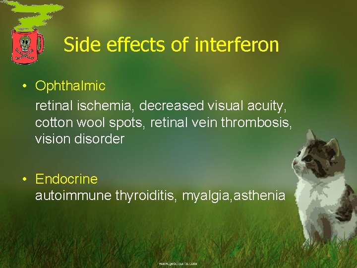 Side effects of interferon • Ophthalmic retinal ischemia, decreased visual acuity, cotton wool spots,