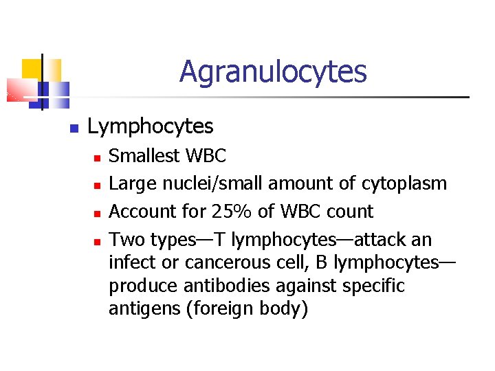 Agranulocytes Lymphocytes Smallest WBC Large nuclei/small amount of cytoplasm Account for 25% of WBC