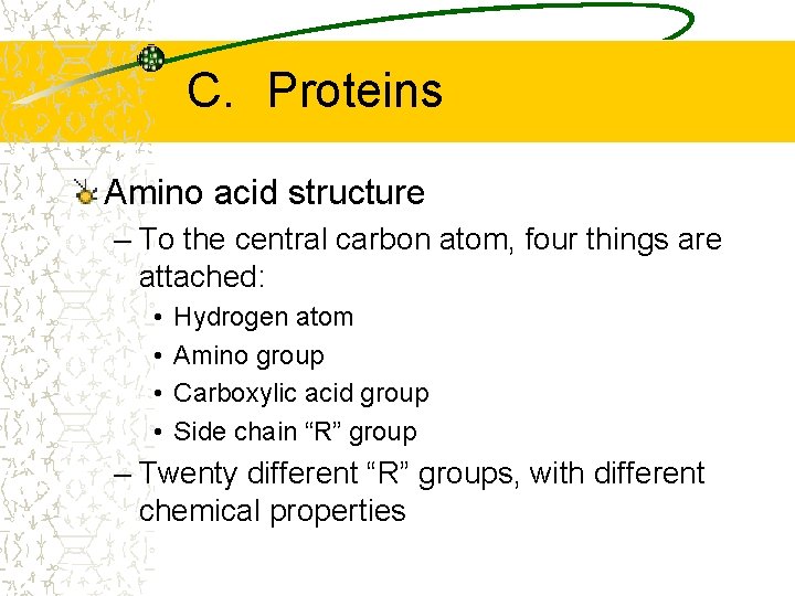 C. Proteins Amino acid structure – To the central carbon atom, four things are C. Proteins Amino acid structure – To the central carbon atom, four things are