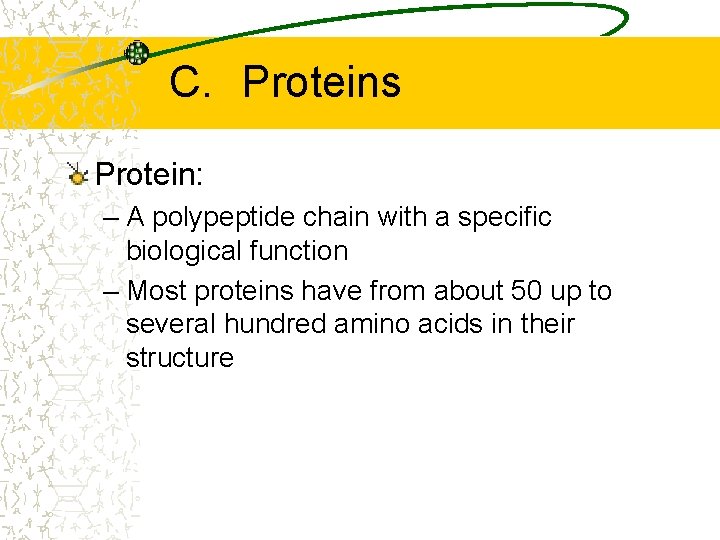 C. Proteins Protein: – A polypeptide chain with a specific biological function – Most C. Proteins Protein: – A polypeptide chain with a specific biological function – Most
