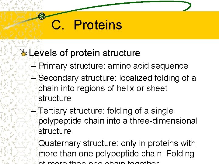 C. Proteins Levels of protein structure – Primary structure: amino acid sequence – Secondary C. Proteins Levels of protein structure – Primary structure: amino acid sequence – Secondary