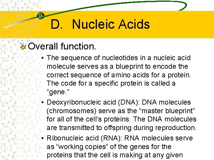 D. Nucleic Acids Overall function. • The sequence of nucleotides in a nucleic acid D. Nucleic Acids Overall function. • The sequence of nucleotides in a nucleic acid