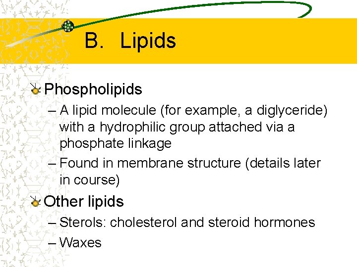 B. Lipids Phospholipids – A lipid molecule (for example, a diglyceride) with a hydrophilic B. Lipids Phospholipids – A lipid molecule (for example, a diglyceride) with a hydrophilic
