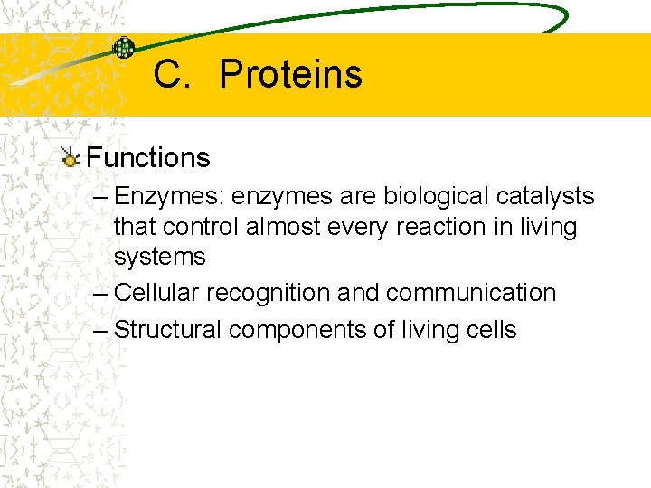 C. Proteins Functions – Enzymes: enzymes are biological catalysts that control almost every reaction C. Proteins Functions – Enzymes: enzymes are biological catalysts that control almost every reaction