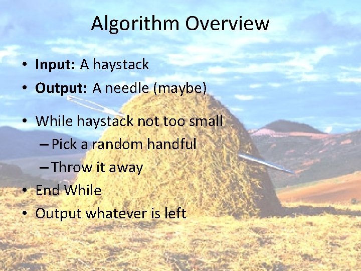 Algorithm Overview • Input: A haystack • Output: A needle (maybe) • While haystack
