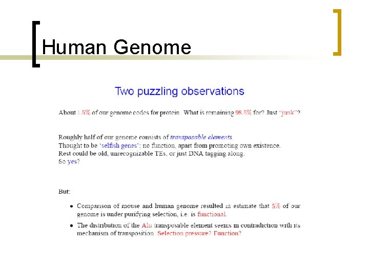 Human Genome 