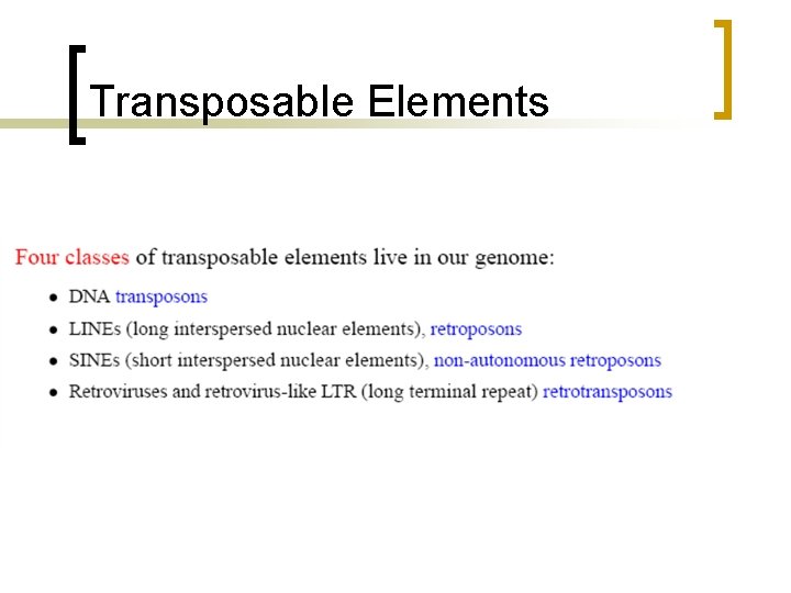 Transposable Elements 