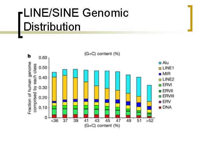 LINE/SINE Genomic Distribution 