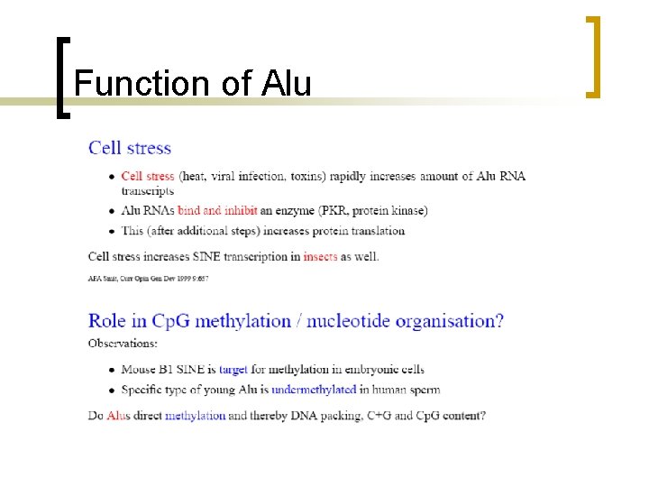 Function of Alu 