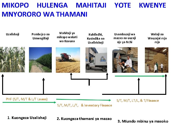 MIKOPO HULENGA MAHITAJI MNYORORO WA THAMANI Uzalishaji Pembejeo na Umwagiliaji Mahitaji ya mikopo wakati