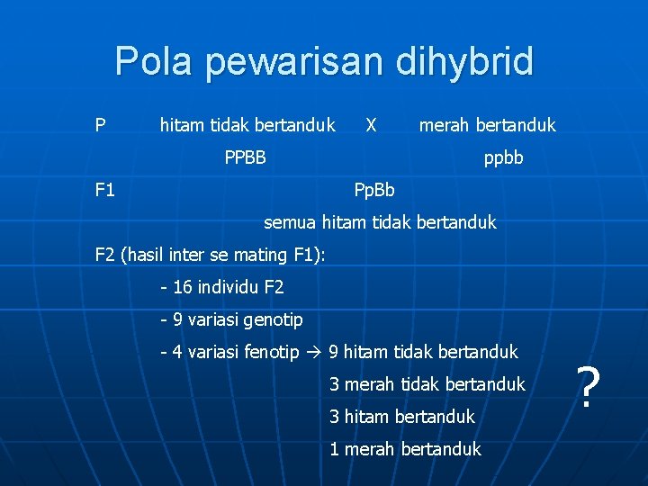 Pola pewarisan dihybrid P hitam tidak bertanduk X merah bertanduk PPBB F 1 ppbb