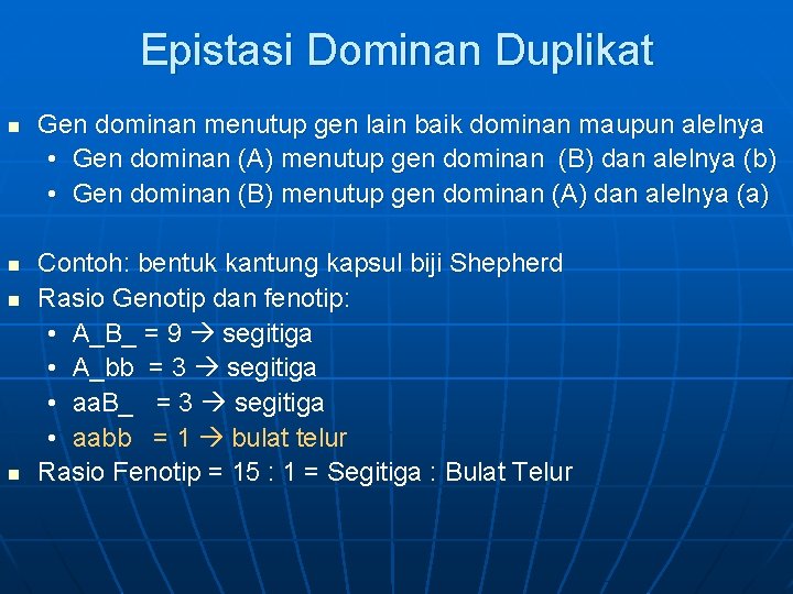 Epistasi Dominan Duplikat n n Gen dominan menutup gen lain baik dominan maupun alelnya