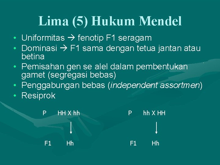 Lima (5) Hukum Mendel • Uniformitas fenotip F 1 seragam • Dominasi F 1