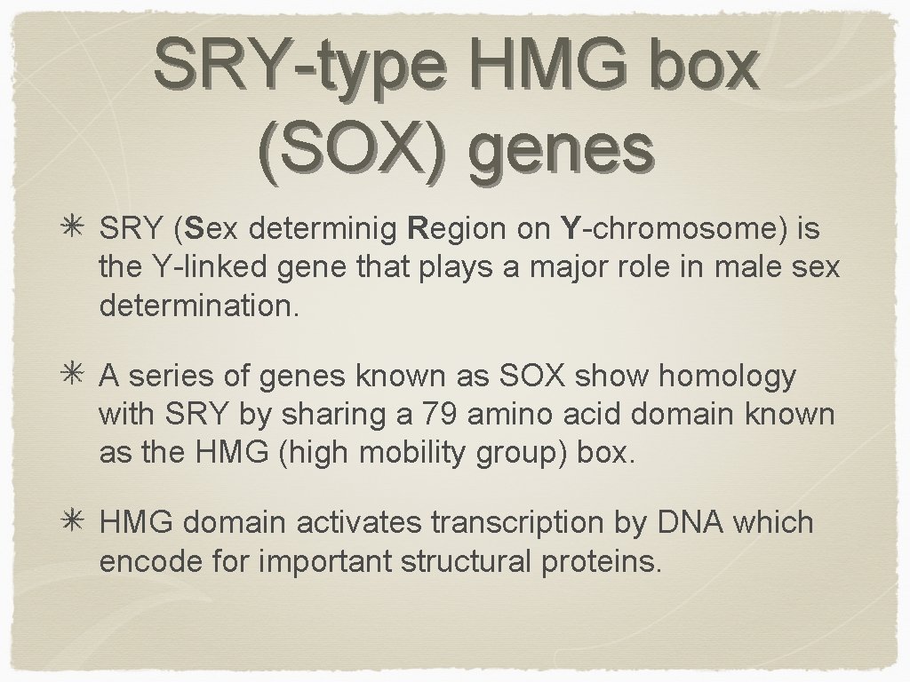 SRY-type HMG box (SOX) genes SRY (Sex determinig Region on Y-chromosome) is the Y-linked