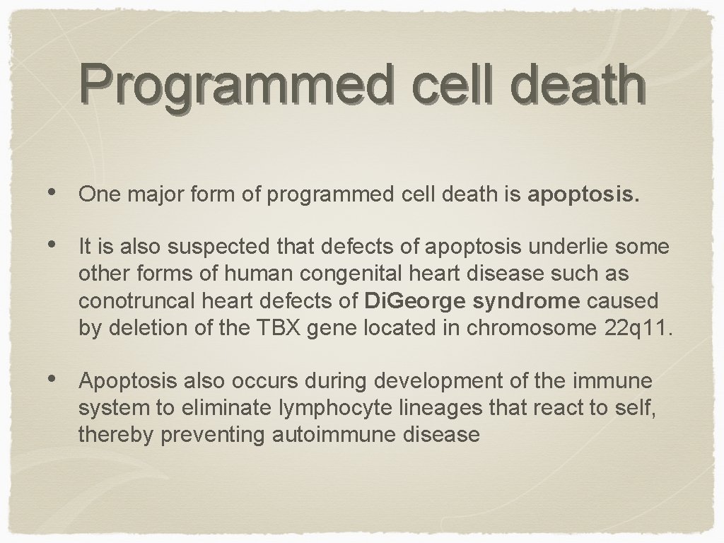 Programmed cell death • One major form of programmed cell death is apoptosis. •