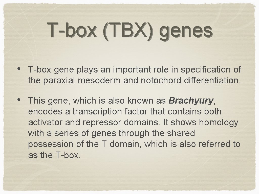 T-box (TBX) genes • T-box gene plays an important role in specification of the