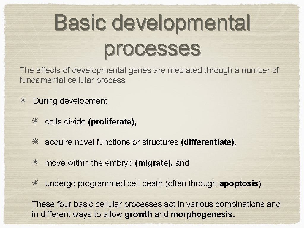 Basic developmental processes The effects of developmental genes are mediated through a number of