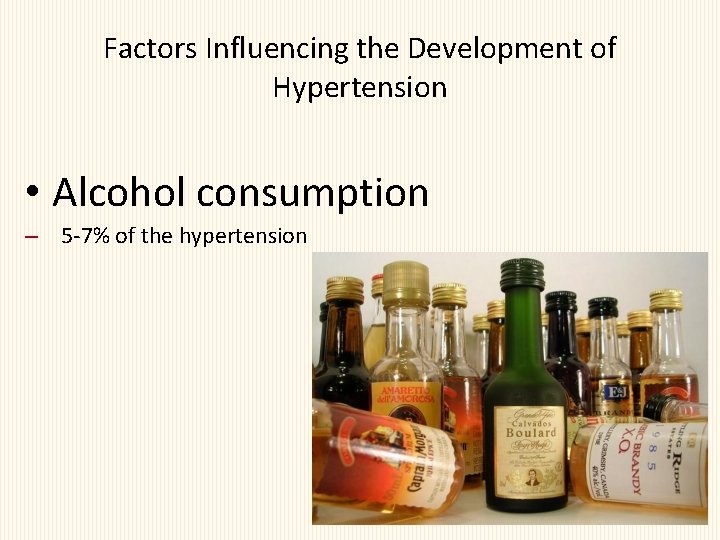 Factors Influencing the Development of Hypertension • Alcohol consumption – 5 -7% of the