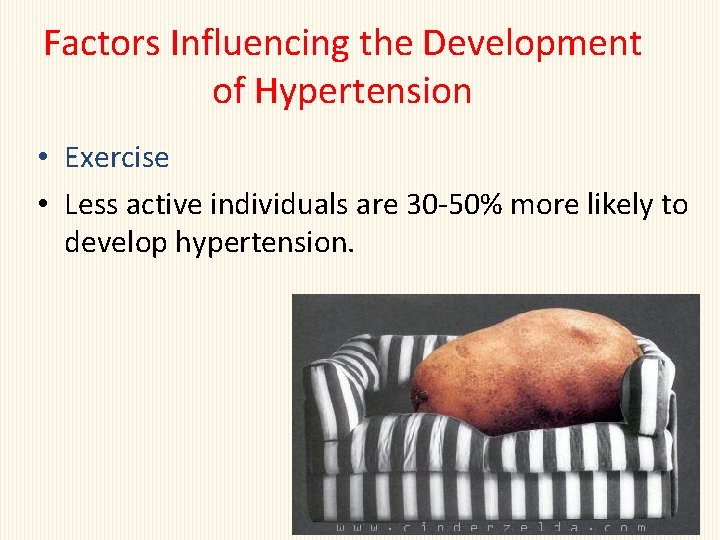 Factors Influencing the Development of Hypertension • Exercise • Less active individuals are 30