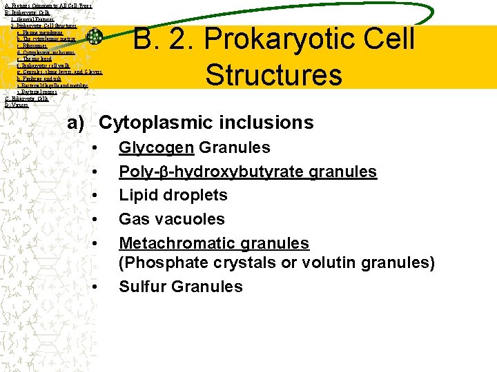 A. Features Common to All Cell Types B. Prokaryotic Cells 1. General Features 2.