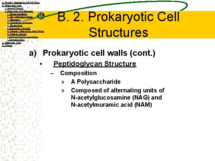 A. Features Common to All Cell Types B. Prokaryotic Cells 1. General Features 2.