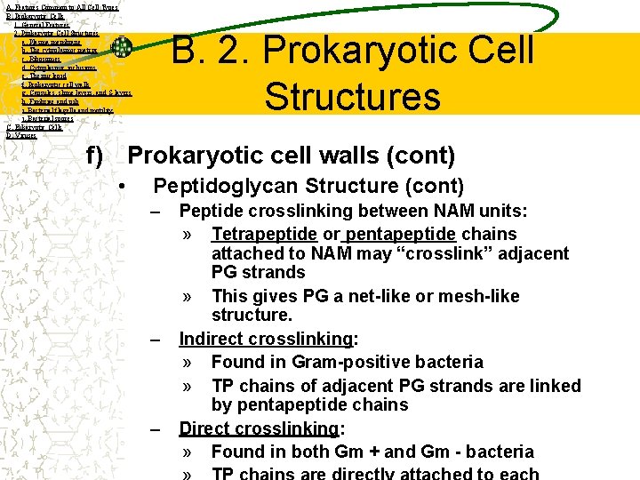 A. Features Common to All Cell Types B. Prokaryotic Cells 1. General Features 2.