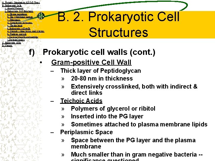 A. Features Common to All Cell Types B. Prokaryotic Cells 1. General Features 2.