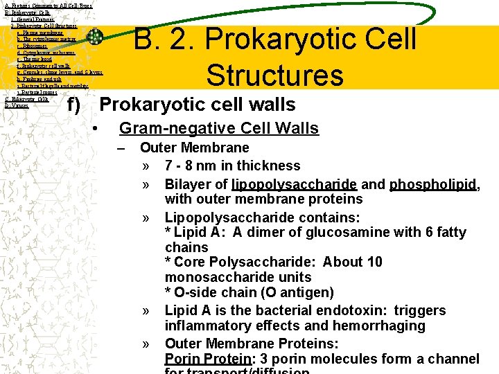 A. Features Common to All Cell Types B. Prokaryotic Cells 1. General Features 2.