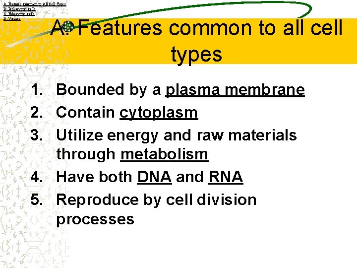 A. Features Common to All Cell Types B. Prokaryotic Cells C. Eukaryotic Cells D.