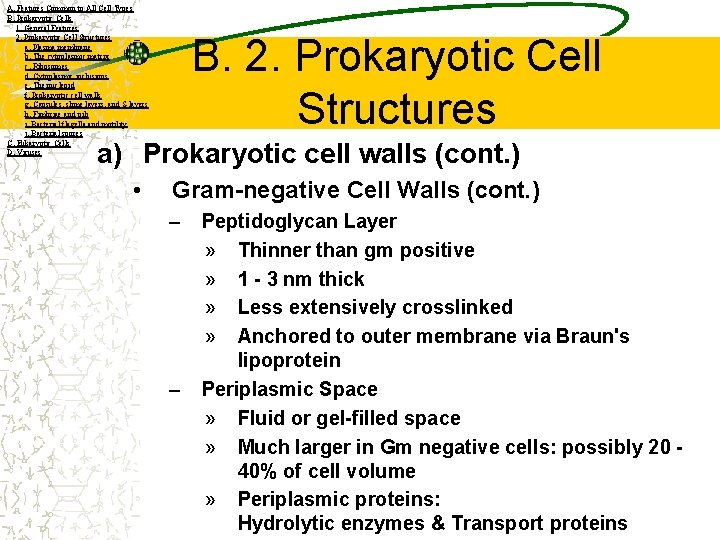 A. Features Common to All Cell Types B. Prokaryotic Cells 1. General Features 2.