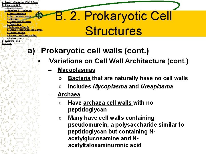 A. Features Common to All Cell Types B. Prokaryotic Cells 1. General Features 2.