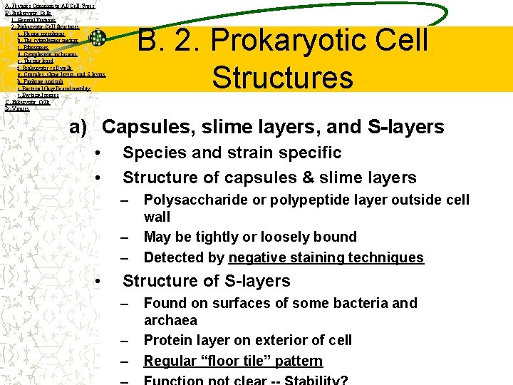 A. Features Common to All Cell Types B. Prokaryotic Cells 1. General Features 2.