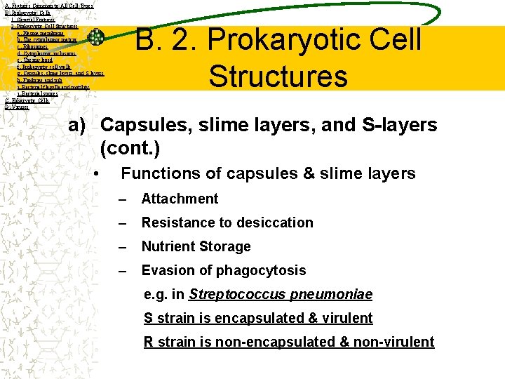 A. Features Common to All Cell Types B. Prokaryotic Cells 1. General Features 2.