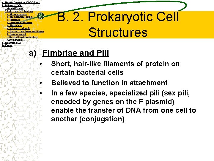 A. Features Common to All Cell Types B. Prokaryotic Cells 1. General Features 2.